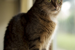 IMG_9147-druck-scaled