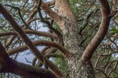 MG_0014-full-andFULL-augewald-druckx-scaled