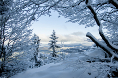 XT-Eyez_hintergrund-scaled